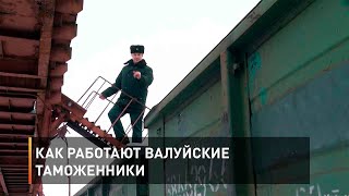 Как работают Валуйские таможенники