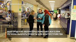 Белгородские волонтёры помогают жителям региона выбрать проекты для благоустройства