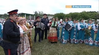 Фестиваль казачьей культуры в Чернянском районе