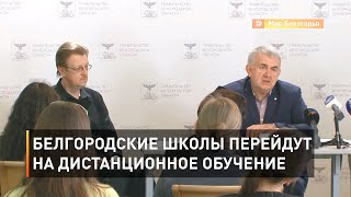 Белгородские школы перейдут на дистанционное обучение