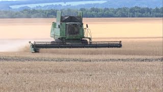 Уборочная кампания в Корочанском районе