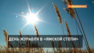 День журавля в «Ямской степи»