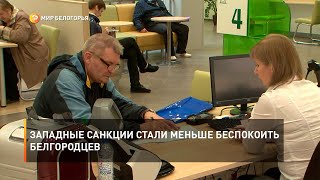 Западные санкции стали меньше беспокоить белгородцев
