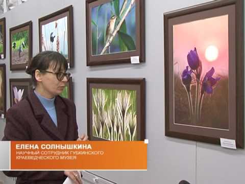 Фотовыставка «Белогорье заповедное»
