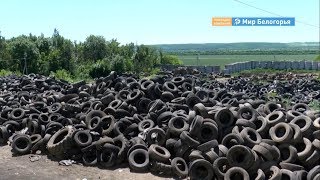 Куда белгородцам сдать автошины