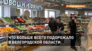 Что больше всего подорожало в Белгородской области 