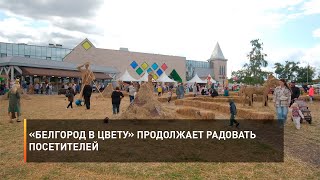 «Белгород в цвету» продолжает радовать посетителей