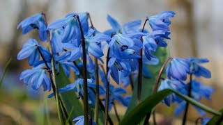 Весна в заповеднике «Белогорье» 