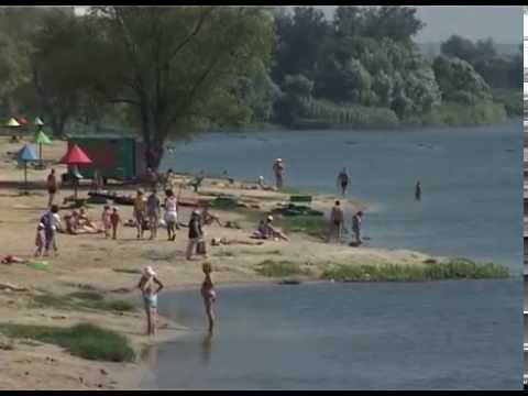 Роспотребнадзор признал безопасными 40 пляжей в Белгородской области