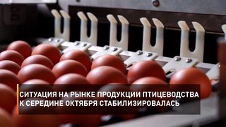 Ситуация на рынке продукции птицеводства к середине октября стабилизировалась