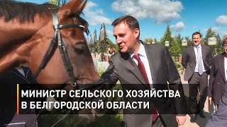 Министр сельского хозяйства в Белгородской области 