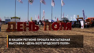 В нашем регионе прошла масштабная выставка «День Белгородского поля»