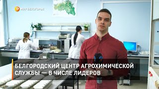 Белгородский центр агрохимической службы — в числе лидеров 