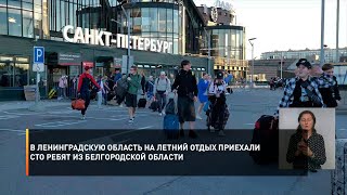 В Ленинградскую область на летний отдых приехали сто ребят из Белгородской области