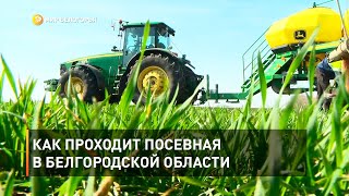 Как проходит посевная в Белгородской области 