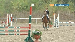 Соревнования по конкуру в Белгороде