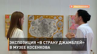Экспозиция «В страну джамблей» в музее Косенкова