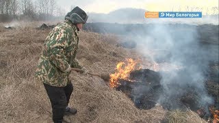 Особый противопожарный режим в Белгородской области