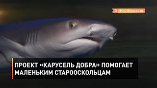 Проект «Карусель добра» помогает маленьким старооскольцам 
