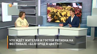 Что ждёт жителей и гостей региона на фестивале «Белгород в цвету»?