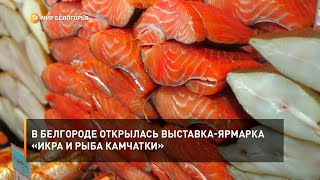 В Белгороде открылась выставка-ярмарка «Икра и рыба Камчатки»