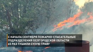 Большинство россиян на постоянной основе выращивают свои овощи, фрукты и ягоды 1:26  Большинство россиян на постоянной основе выращивают свои овощи, фрукты и ягоды «Мир Белогорья». Белгород и Белгородская область 1 тыс просмотров · 21 день назад Среднеста