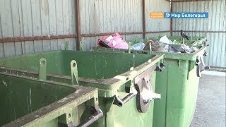 Мусорный рейд «Молодежки ОНФ»