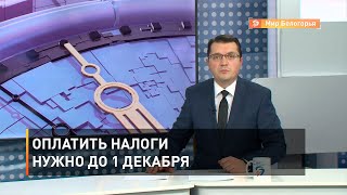 Оплатить налоги нужно до 1 декабря