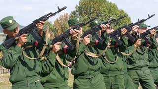 Под Чернянкой перезахоронили останки солдат