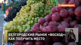 Белгородский рынок «Восход»: как получить место