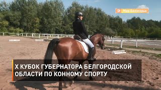 X Кубок губернатора Белгородской области по конному спорту