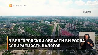В Белгородской области выросла собираемость налогов