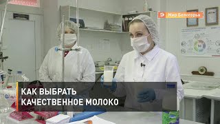 Как выбрать качественное молоко