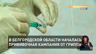 В Белгородской области началась прививочная кампания от гриппа