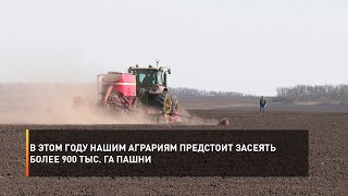 В этом году нашим аграриям предстоит засеять более 900 тыс. га пашни