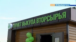 Мусорная реформа в Белгородской области итоги: за полгода 