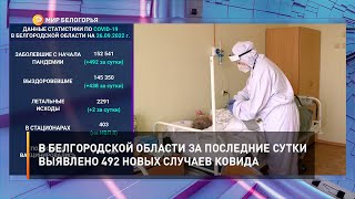В Белгородской области за последние сутки выявлено 492 новых случаев ковида