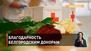 Благодарность белгородским донорам