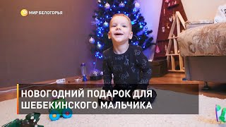 Новогодний подарок для шебекинского мальчика 