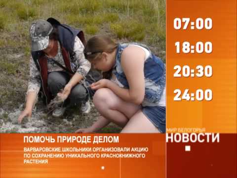 Смотрите на «Мире Белогорья» сегодня, 15 июля