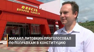 Михаил Литовкин проголосовал по поправкам в Конституцию