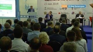 Поддержка малого и среднего бизнеса Белгорода