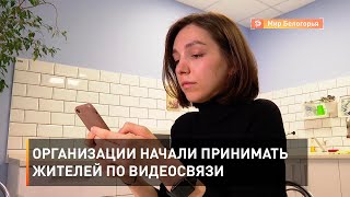 Организации начали принимать жителей по видеосвязи