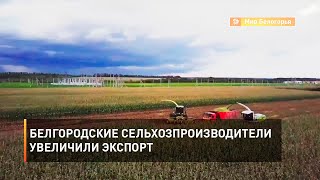 Белгородские сельхозпроизводители увеличили экспорт