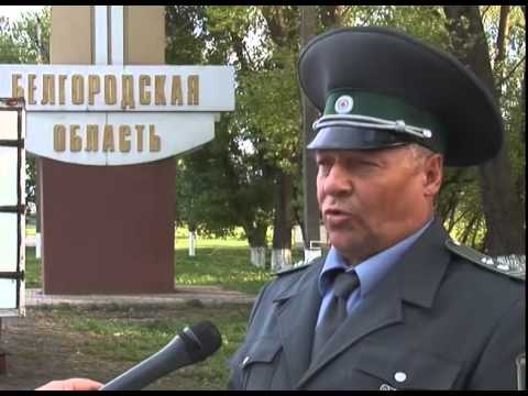 Задержание нелегального мяса под Ивней