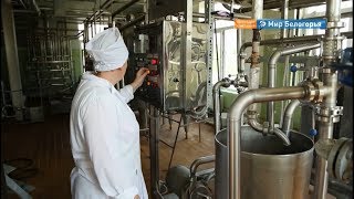 Где найти работу белгородским специалистам-новичкам