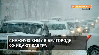 Снежную зиму в Белгороде ожидают завтра