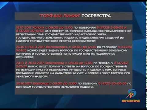«Горячая линия» Росреестра по Белгородской области