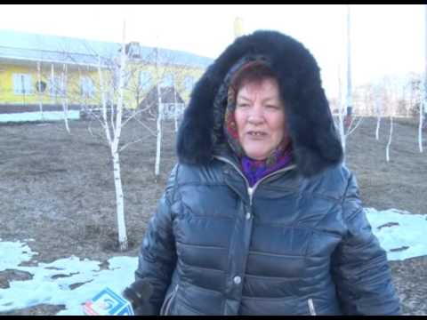 «Народная экспертиза» в Н. Осколе