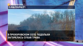 В прохоровском селе Подольхи загорелась сухая трава